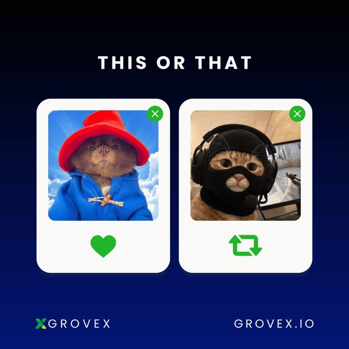 The image shows a “THIS OR THAT” poll from Grovex (XGROVEX / GROVEX.IO) that pits a bear in a red hat against a cat in a mask, with a green heart icon representing $BERT and a green refresh icon representing $MASK, inviting the community to choose which token to add to their portfolio before the weekend.