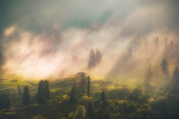 The image shows a foggy landscape with trees and hills, creating an atmospheric scene. The perspective suggests that the viewer is looking down upon this picturesque view from above or slightly below. The text "gm Happy Tezos Tuesday" appears near the bottom of the image, possibly indicating the source or creator of the photo.