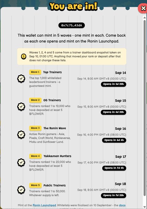 A 'You are in!' notification from wallet 0x7c75...43dA outlines a 5-wave minting schedule for Ronin Launchpad starting with 'Top Trainers' on Sep 14 and ending with 'Public Trainers' on Sep 18.