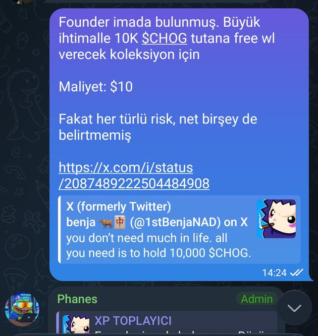 A Telegram chat screenshot in Turkish discussing a project, noting 'Founder imada bulunmuş' (Founder not yet found) and that holding 10K $CHOG might grant a free whitelist spot at a $10 cost.