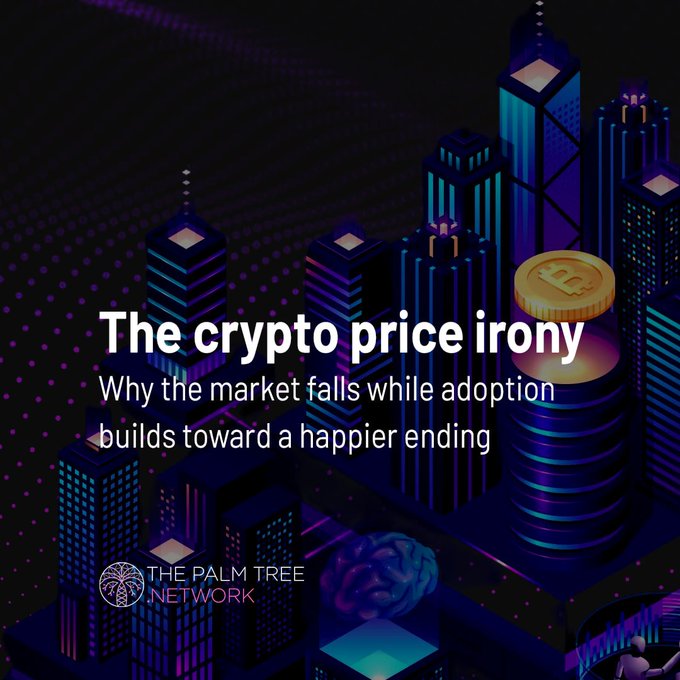 The image features a 3D rendering of a city skyline with buildings reaching for the sky at night, illuminated by various lights that add depth and detail to the scene. The text above the image reads "The Crypto price irony", which seems to be referencing the historical irony of Bitcoin's price falling sharply while adoption is increasing.