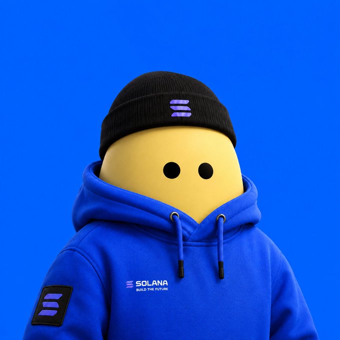 A 3D-rendered yellow character wearing a black beanie and a blue Solana hoodie with 'BUILD THE FUTURE' text, set against a solid blue background.