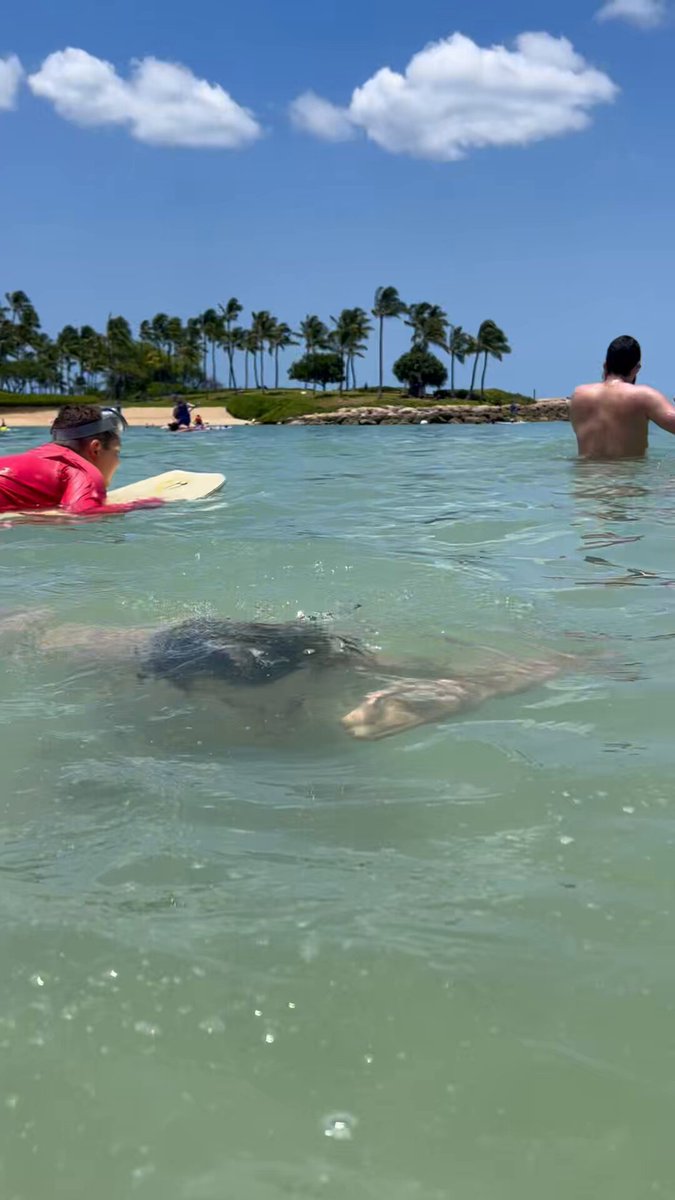 The image shows a group of people enjoying themselves at the beach, with some swimming in the water while others are standing or lying down on surfboards. The sky above them is blue with white clouds, creating a beautiful backdrop for their activities. One person appears to be wearing a red shirt and has a surfboard nearby. A caption below the image reads "Oh You didn’t cash out when it was good -STAY $MAD".