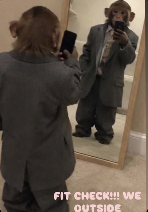 A monkey dressed in a gray business suit and patterned tie takes a mirror selfie with a phone, with text reading 'FIT CHECK!!! WE OUTSIDE'.