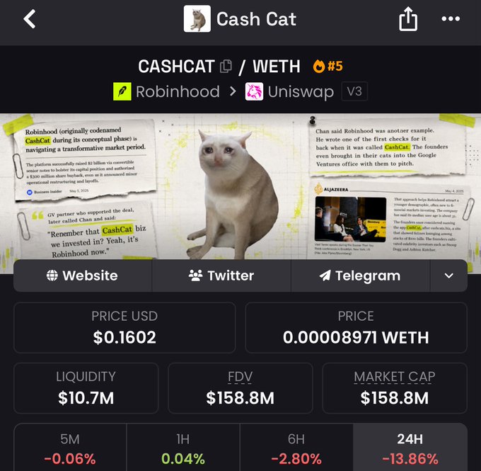 A screenshot of a cryptocurrency tracker page for CashCat (CASHCAT/WETH) shows a price of $0.1602, a market cap of $158.8M, and a 24-hour decline of -13.86%, accompanied by an image of a surprised-looking cat surrounded by clippings about Robinhood and Google Ventures. The image supports the post's speculation about CashCat potentially reaching a $1 billion market cap, with the user drawing parallels to $PEPE's past explosive growth.