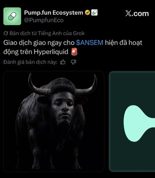 A tweet from Pump.fun Ecosystem (@PumpfunEco) featuring Vietnamese text translating to a review of Grok's English translation, stating that crypto trader ANSEM has been active on the Hyperliquid chain, alongside a dark image of a bull-like figure.