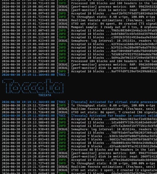 A console log showing blockchain activity with timestamped entries, featuring the 'Toccata' logo in the center, processing blocks and performance metrics.