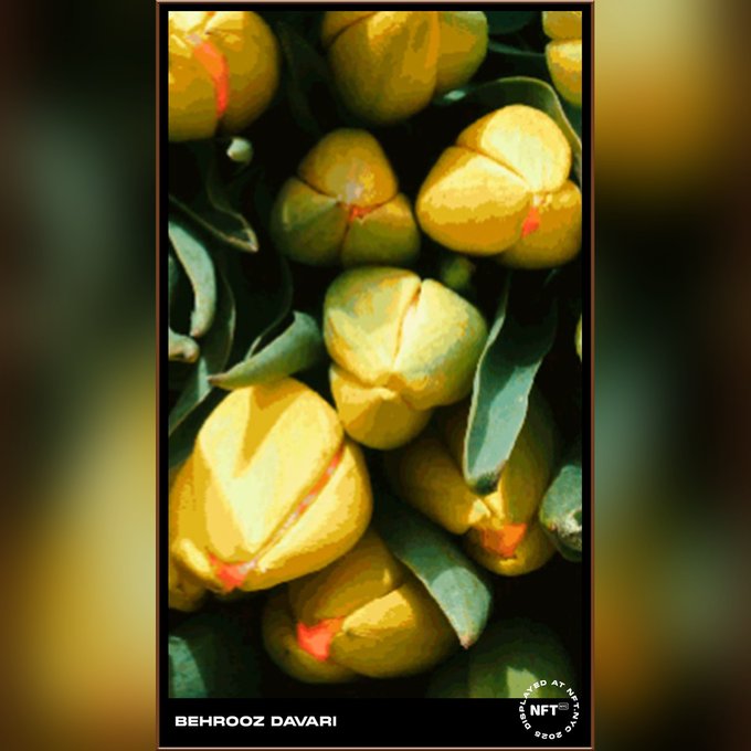 NFT-style artwork titled 'BEHROOZ DAVARI' showing yellow flower buds among green leaves, with a circular 'NEBO ATELIER' logo in the bottom right corner.