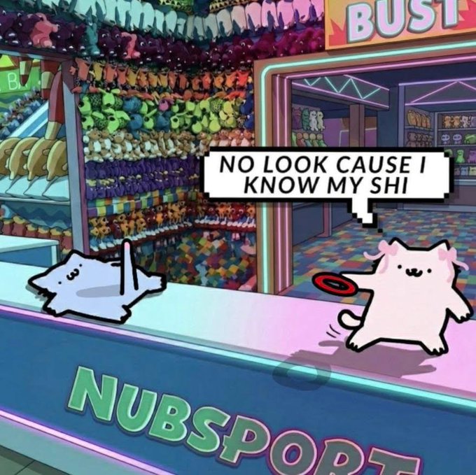 A meme from a Roblox plush shop called 'NUBSPORT' showing cartoon cats throwing plush toys with the caption 'NO LOOK CAUSE I KNOW MY SHI.'