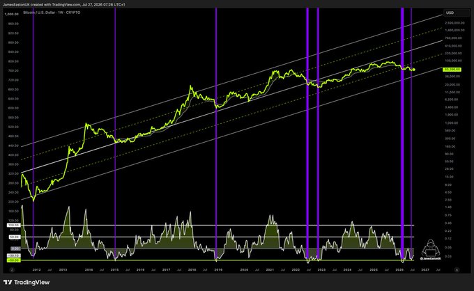 A logarithmic Bitcoin/USD chart spanning 2013-2026 shows price action contained within an ascending parallel channel (white trendlines), with vertical purple lines marking multi-year cycle lows and a lower indicator panel displaying capitulation/volatility spikes. The caption "Bitcoin. The TOURISTS are GONE. The INVESTORS are STACKING." reflects the visible cyclical pattern where sharp sell-offs (notably at the purple vertical markers) have historically preceded long uptrends within the rising channel.