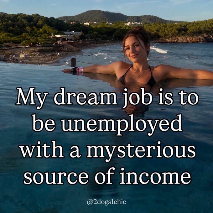 A young woman smiles while relaxing in an infinity pool overlooking a coastal landscape, with overlaid text reading "My dream job is to be unemployed with a mysterious source of income" and a "@2dogs1chic" handle.

The caption playfully suggests that her "mysterious income" is likely Bitcoin or cryptocurrency gains, as she enjoys a luxurious lifestyle without traditional employment—a common aspiration within the crypto community.