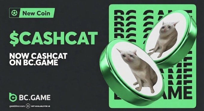 Promotional graphic announcing $CASHCAT's new listing on BC.GAME, featuring two white cat-themed coin tokens against a green grid background with the "New Coin" badge and the BC.GAME logo, aligning with the post's announcement of the token launch and accompanying giveaway celebration.