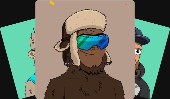 A cartoon image shows three NFT characters, with the central figure being a furry creature wearing a fur-lined aviator hat and blue reflective sunglasses, flanked by two other characters on teal card backgrounds. The image appears to be promotional artwork for the @ShreddingSassy NFT collection being discussed in the post, which highlights a 3-pack purchase at .028 each before the collection's price rises above .05.
