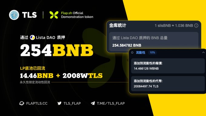 The image features a black background with yellow text, including information about the TLS wallet, such as the name of the creator (Developer), the version number, the date when the wallet was built, and details about its currency exchange rate. The primary focus of the image is on the wallet's creator, highlighting their involvement in developing the service.