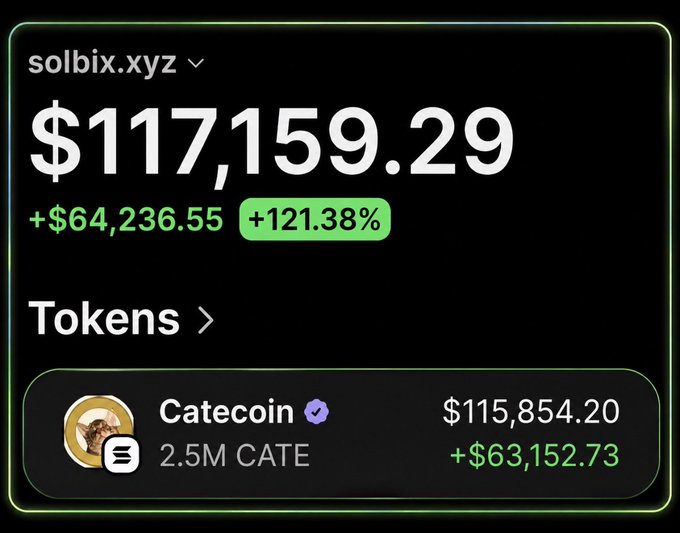 A screenshot from solbix.xyz shows a portfolio value of $117,159.29 (+$64,236.55 / +121.38%), with the only token listed being Catecoin ($CATE) at 2.5M CATE worth $115,854.20 (+$63,152.73). The image illustrates the Vietnamese post's claim of turning $14.3K into $152K+ in profit on Catecoin, with roughly $117K still being held.