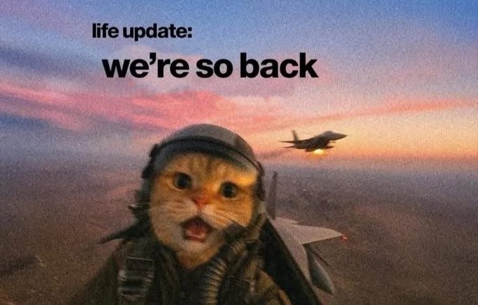 A meme image featuring a cat wearing a pilot helmet with the text 'life update: we're so back' displayed over a sunset sky with a fighter jet in the background.