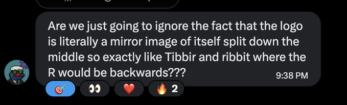 A Discord message that reads, 'Are we just going to ignore the fact that the logo is literally a mirror image of itself split down the middle so exactly like Tibbir and ribbit where the R would be backwards???'