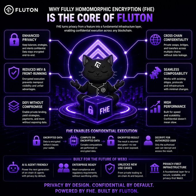 An infographic titled "WHY FULLY HOMOMORPHIC ENCRYPTION (FHE) IS THE CORE OF FLUTON," featuring a meditating cat avatar and outlining benefits like enhanced privacy, cross-chain confidentiality, and seamless composability.
