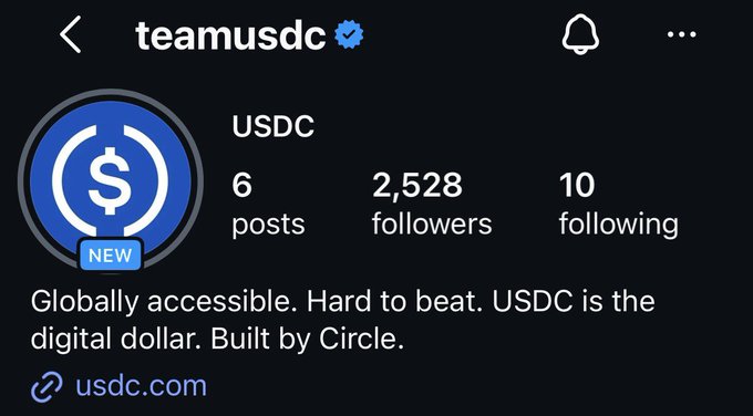 The image shows the verified Instagram profile of "teamusdc" for USDC, displaying 6 posts, 2,528 followers, and 10 following, with the bio "Globally accessible. Hard to beat. USDC is the digital dollar. Built by Circle." This supports the post's bullish "Team USDC !!!! Let's run it up" sentiment by highlighting USDC's strong social media presence and Circle-backed credibility as a leading stablecoin.