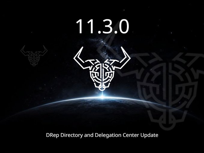 The image shows a promotional graphic for Daedalus version "11.3.0" featuring a stylized bull/buffalo logo in the center, set against a cosmic backdrop with Earth visible at the bottom and a faded Celtic knot design on the right. Below the logo, text reads "DRep Directory and Delegation Center Update," highlighting the key new features introduced in this release.