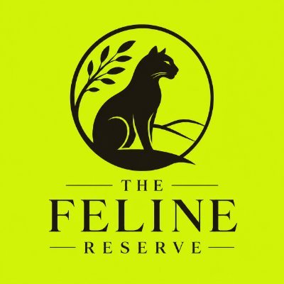A logo on a bright yellow background shows a black cat silhouette within a circle, accompanied by the text 'THE FELINE RESERVE'.