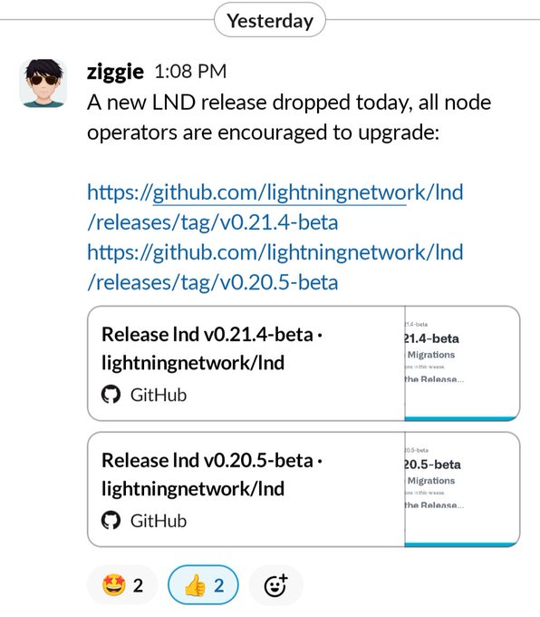 A Discord message from user 'ziggie' at 1:08 PM announces new LND (Lightning Network) releases, sharing GitHub links for lnd v0.21.4-beta and v0.20.5-beta for node operators to upgrade.