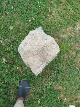 A plain gray rock sits on the grass next to a black shoe, exemplifying the low-effort submissions from the "rock contest" mentioned in the post, where the low bar resulted in rewards being sent out and the intern fund growing.