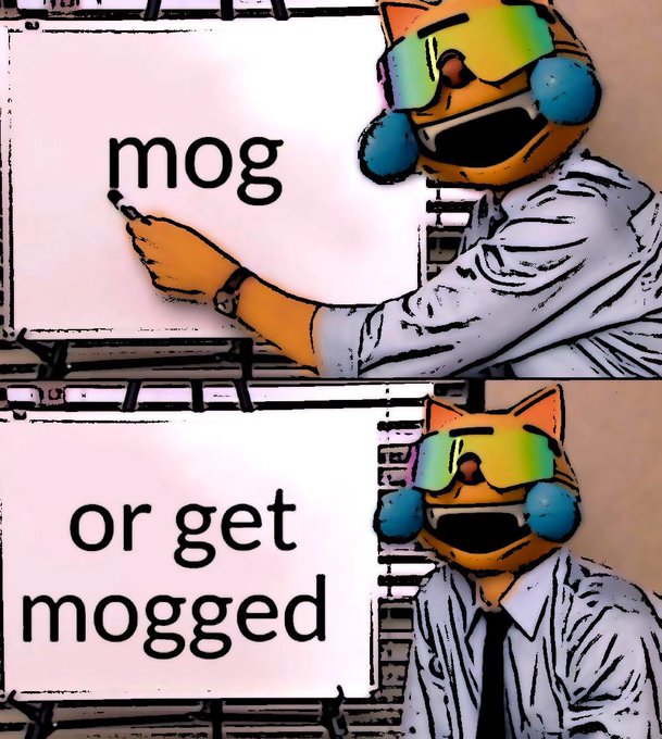 The image features two cartoon cat masks, one wearing sunglasses and holding a marker, while the other has a sad expression and is not wearing any accessories or writing anything down. The text below the image reads "MOG below 50M gives you a generational entry into an asset with a 50B+ potential."