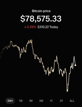 A Bitcoin price chart shows BTC at $78,575.33, down 0.39% ($310.22) today on the 24H view, illustrating the dip referenced in the caption "Legends buy the dip. I don't make the rules."