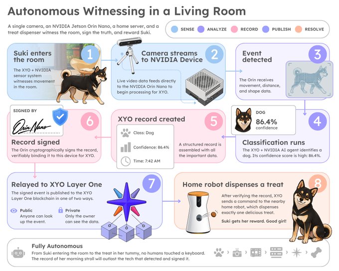 An infographic titled "Autonomous Witnessing in a Living Room" illustrates an eight-step process where a camera, NVIDIA Jetson Orin Nano device, and treat dispenser collaborate to witness, analyze (identifying a dog with 86.4% confidence), record, cryptographically sign, and publish an event to the XYO Layer One blockchain before rewarding a Shiba Inu named Suki with a treat—all without human intervention or cloud processing.