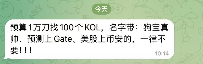 A Chinese message in a WeChat-style chat dated '今天' (today) at 10:14 that translates to a budget of $10,000 to find 100 KOLs, rejecting those with handles like 'Dog Treasure Master,' those who predicted going to Gate, or US-listed ones.
