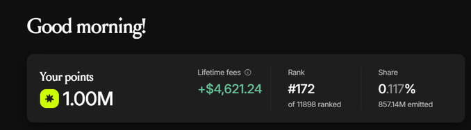 A dark-themed dashboard displays 'Good morning!' along with account statistics showing 1.00M points, lifetime fees of +$4,621.24, a rank of #172, and 0.117% share.