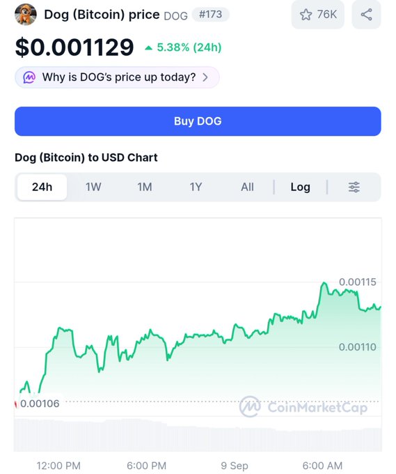 A CoinMarketCap chart for Dog (Bitcoin) shows DOG at $0.001129, up 5.38% over 24 hours, with a blue “Buy DOG” button.