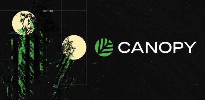 The image shows the "CANOPY" logo alongside stylized illustrations of palm trees and circular moon-like shapes against a dark background. The accompanying post about Ethereum validators censoring Tornado Cash transactions appears unrelated to the Canopy branding shown in the image, as Canopy is a separate entity (likely the privacy-focused project building on Bitcoin's Ark protocol).