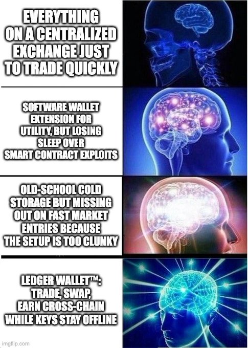 A four-panel 'expanding brain' meme comparing crypto wallet options, with the final and most enlightened panel promoting 'LEDGER WALLET™: TRADE, SWAP, EARN CROSS-CHAIN WHILE KEYS STAY OFFLINE'.