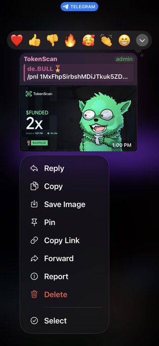A Telegram chat screenshot from TokenScan showing a meme coin called 'de.BULL' that is FUNDED 2x, with an admin message featuring a cartoon goblin avatar.