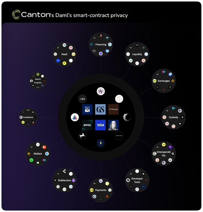 A diagram titled "Canton's Daml's smart-contract privacy" showing a central hub with major institutions (Goldman Sachs, JPMorgan, DTCC, Visa) surrounded by categories including NaaS, Financing, Liquidity, Exchanges, Custody, Interoperability, Developer Tools, Payments, Stablecoins, Wallets, Compliance, and Data & Analytics.