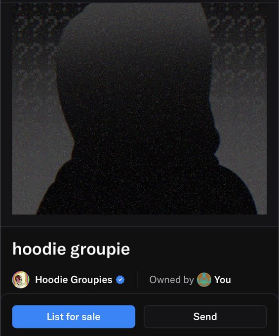 An OpenSea NFT listing page displays a dark, grainy silhouette of a hooded figure titled 'hoodie groupie,' verified and currently owned by the user.