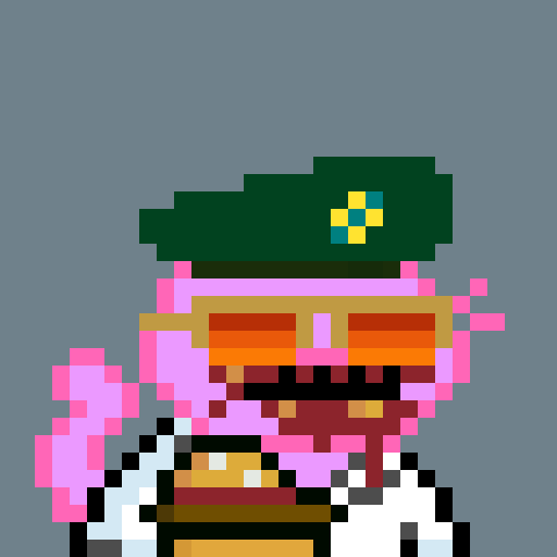 A low-resolution pixel art character with pink hair, a green military cap, and orange glasses stands against a gray background.