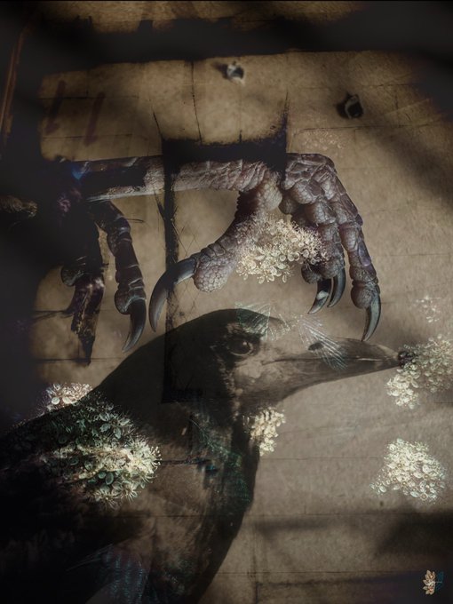 The image features an illustration of a bird with its wings spread wide, facing towards the right side of the frame. The bird appears to be a crow or a raven, depending on the viewer's perspective. In the background, there are two hands holding onto a wall, which is part of a larger scene that includes a building and some flowers. The image also contains text that reads "Gm and happy Thursday Only 14 hours left on my current OE" and "A Murder in the Middle Stall of the Public Toilets".