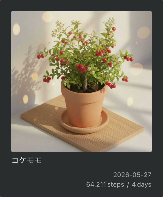 The image features a potted plant with red berries, placed on top of a wooden tray or board. The plant appears to be a bonsai tree, which has been captured in a 3D rendering. The background of the image is white, providing contrast and making the colors of the plant stand out. The post includes text that reads "6421 steps / 4 days" and "2026-05-27".