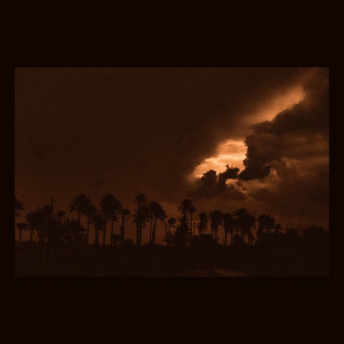 A moody photograph of silhouetted palm trees against a dark, cloudy sky with a warm orange glow breaking through.
