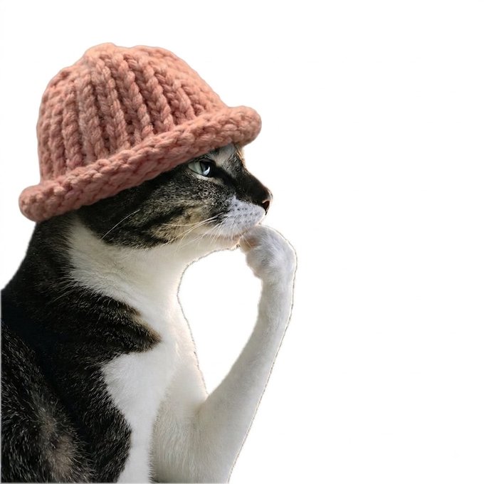 A tabby cat in a thinking pose wears a pink knitted beanie hat against a white background.