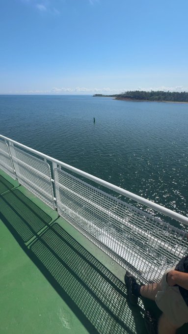 A scenic view from a ship's deck with green flooring and white railings, overlooking a vast blue ocean with a forested coastline visible in the distance under a clear blue sky.