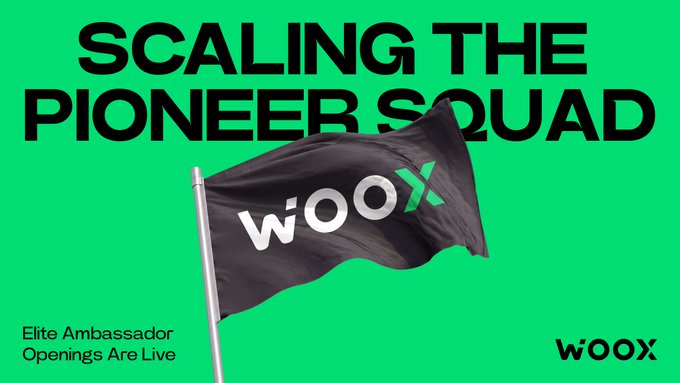 A bold green promotional graphic features a black flag emblazoned with the "WOOX" logo, headlined with "SCALING THE PIONEER SQUAD" and announcing "Elite Ambassador Openings Are Live"—visually reinforcing the call to action to join WOOX's exclusive ambassador program with direct access to their core team.