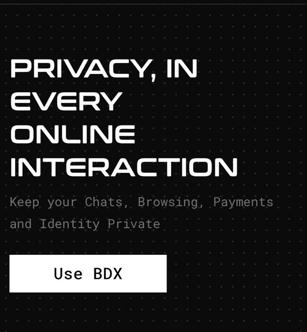 A dark-themed promotional graphic with bold white text reading "PRIVACY, IN EVERY ONLINE INTERACTION," followed by the subtitle "Keep your Chats, Browsing, Payments and Identity Private," and a "Use BDX" call-to-action button. The image ties into the post by highlighting Beldex's privacy-focused ecosystem, where "BDX" refers to the $BDX token that powers private tools like BChat (messaging), BelNet (network privacy), and BNS (decentralized identities) mentioned in the commentary.