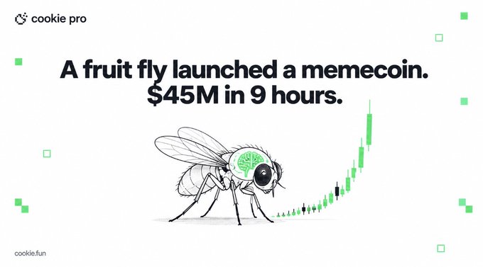 A Cookie Pro advertisement stating 'A fruit fly launched a memecoin. $45M in 9 hours.' featuring an illustration of a fly with a brain and a green candlestick chart trending upward.