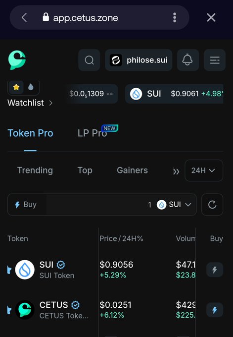 A screenshot of the app.cetus.zone website on a mobile browser showing the SUI token priced at $0.9056 (+5.29%) and the CETUS token at $0.0251 (+6.12%) on a Token Pro trading interface.