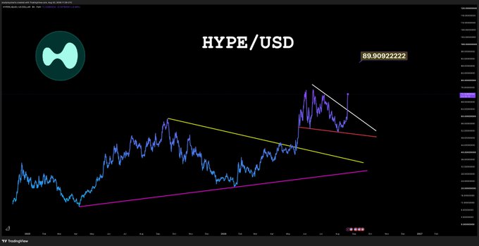 A TradingView candlestick chart displays HYPE/USD trading at $59.90092222, featuring a yellow descending trendline and a purple ascending support line illustrating a wedge pattern formation.