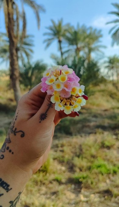 A tattooed hand holds a cluster of small pink and white flowers against a backdrop of a palm tree grove under a blue sky.